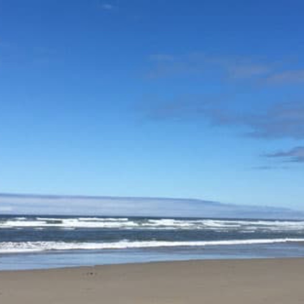 Meet your Posher, Wave